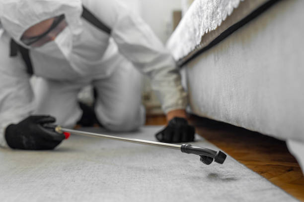 Professional Termite Control technician working in Big Coppitt Key, FL